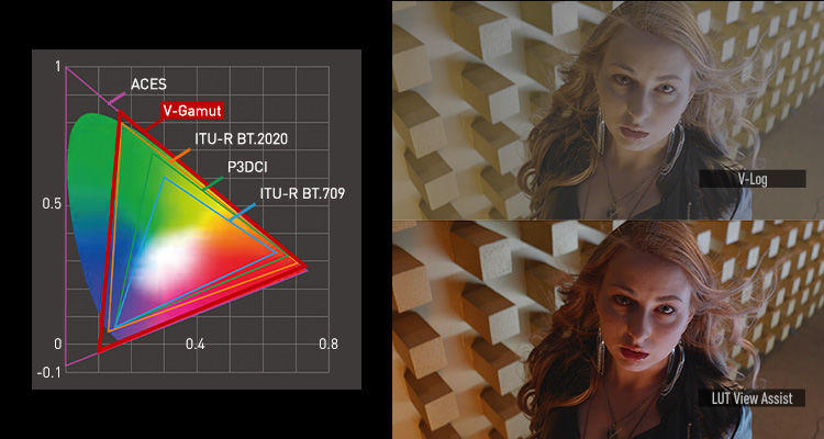 Lumix S1H Cinema camera V-LOG chart and LUT view assist example